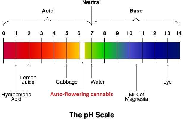 How To Measure Alkalinity In Drinking Water How To Measure Alkalinity In Drinking Water