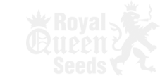 Royal Queen Seeds