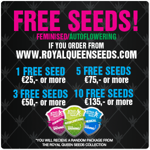 Promocode