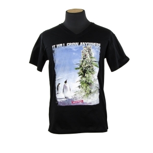 Royal Queen Seeds T-shirt Pinguïn
