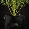 Eco plantlabels 5 Stuks