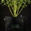 Eco plantlabels 5 Stuks