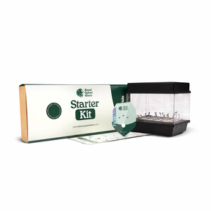 F1 Hybride Starterkit