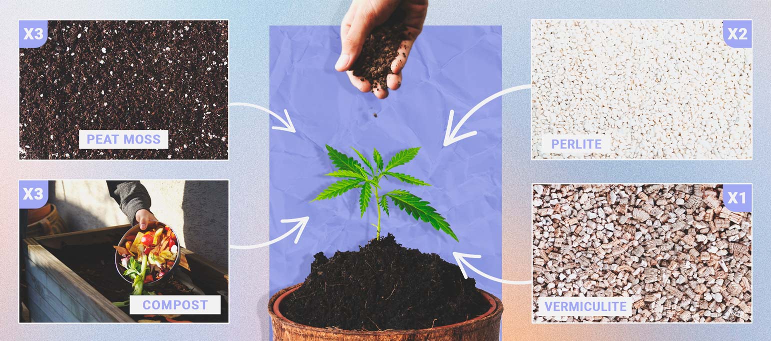 De Beste Aarde Voor Autoflowering Cannabis 
