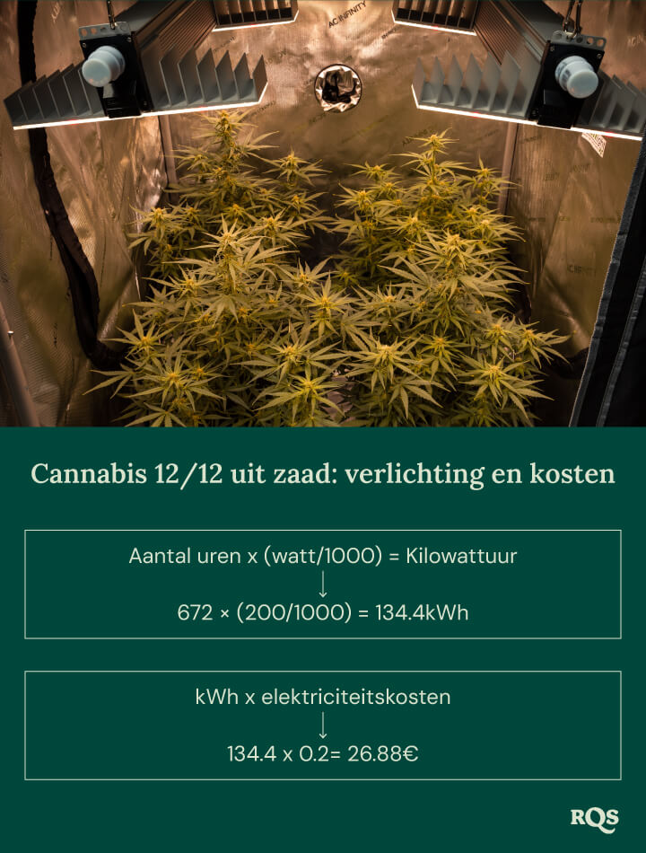 12-12 cannabis light cycle cost