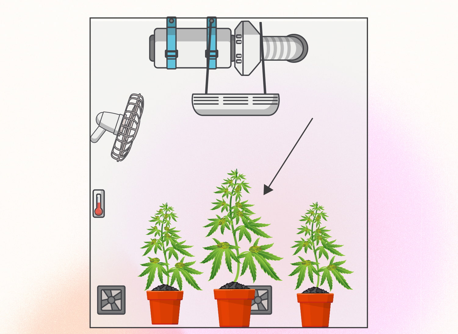 Monster Cropping Cannabis: Step-By-Step Guide Monster Cropping Cannabis: Step-By-Step Guide