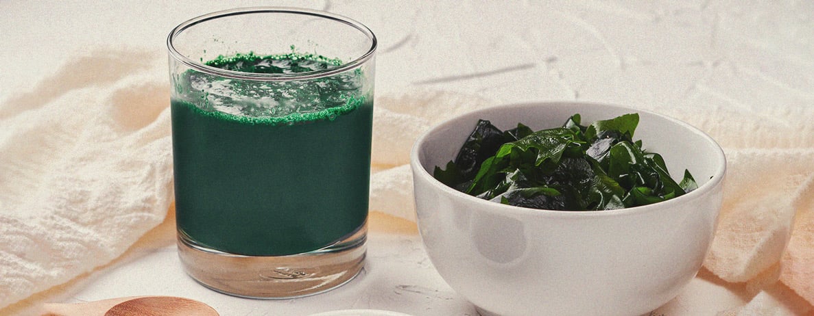 Waarom zeewier superfood voor wietplanten is Waarom zeewier superfood voor wietplanten is