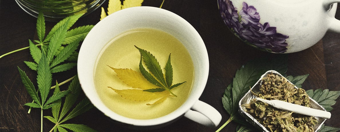 De Beste Manieren Om Mannelijke Cannabisplanten Te Gebruiken De Beste Manieren Om Mannelijke Cannabisplanten Te Gebruiken