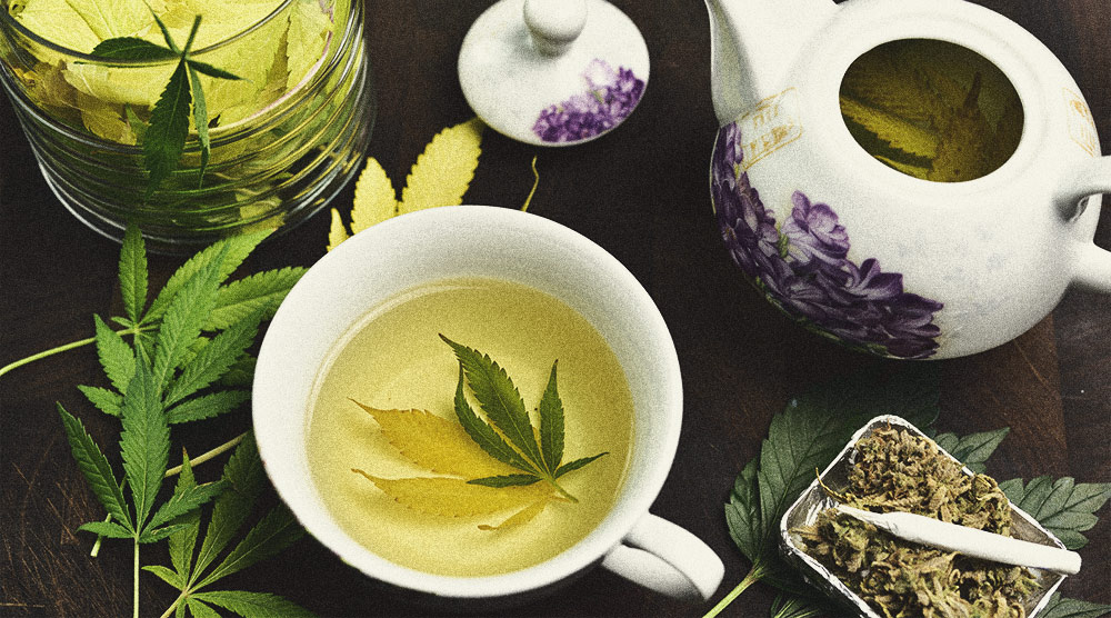 De Beste Manieren Om Mannelijke Cannabisplanten Te Gebruiken De Beste Manieren Om Mannelijke Cannabisplanten Te Gebruiken