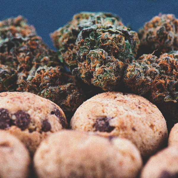 De Ontwikkeling Van Popcorn Toppen Op Je Cannabisplanten Voorkomen De Ontwikkeling Van Popcorn Toppen Op Je Cannabisplanten Voorkomen