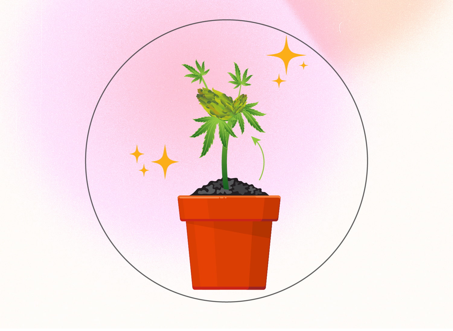 Monster Cropping Cannabis: Step-By-Step Guide Monster Cropping Cannabis: Step-By-Step Guide