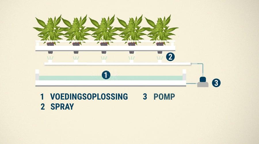 Aeroponics met continue stroming