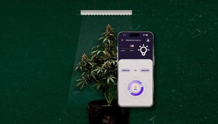 Geavanceerde Functies om te Overwegen Cannabis Een illustratie van een cannabisplant onder een growlight met een smartphone die een controle-app weergeeft, tegen een groene achtergrond, die geavanceerde functies benadrukt om te overwegen.