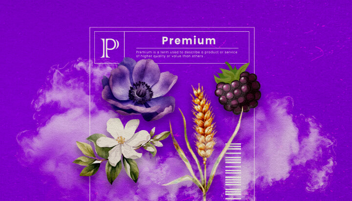 Een illustratie van Granddaddy Purple cannabisbloemen met diepe paarse tinten en een dichte structuur, die de dominante indica-hybride kenmerken en de zoete druifachtige geur benadrukken, tegen een groene achtergrond.