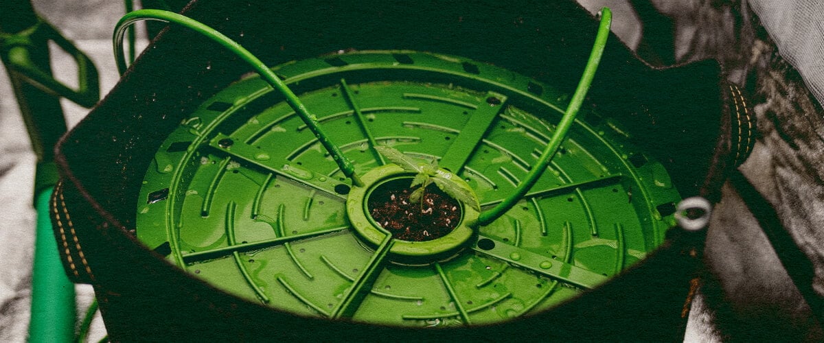 Geautomatiseerde Irrigatie: Druppelsysteem Afbeelding Cannabisstengel in een druppelsysteem, toont geautomatiseerde irrigatie met een eenvoudige slang op een donkergroene achtergrond, ideaal voor cannabis irrigatiegidsen.