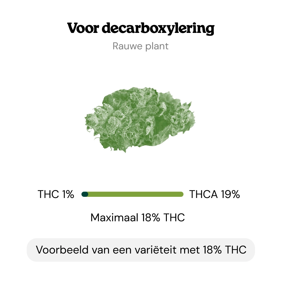 Decarboxylatie Decarboxylatie