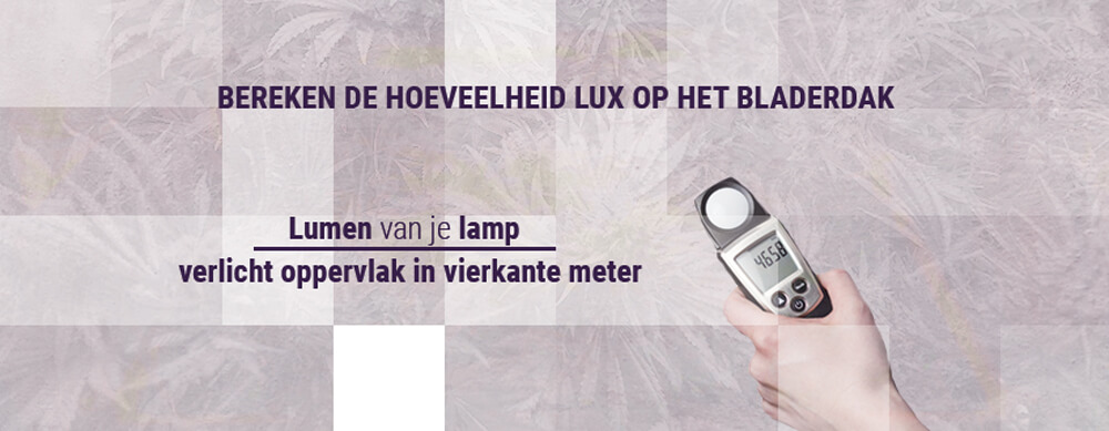 Bereken-de-hoeveelheid-lux-op-het-bladerdak