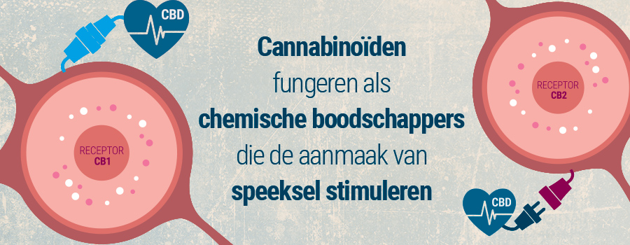 Cannabinoids chemische boodschappers katoen mond