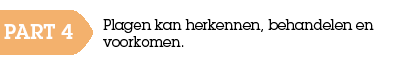 plagen cannabis