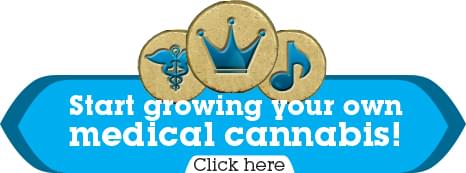 Kweek je eigen medicinale cannabis Kweek je eigen medicinale cannabis
