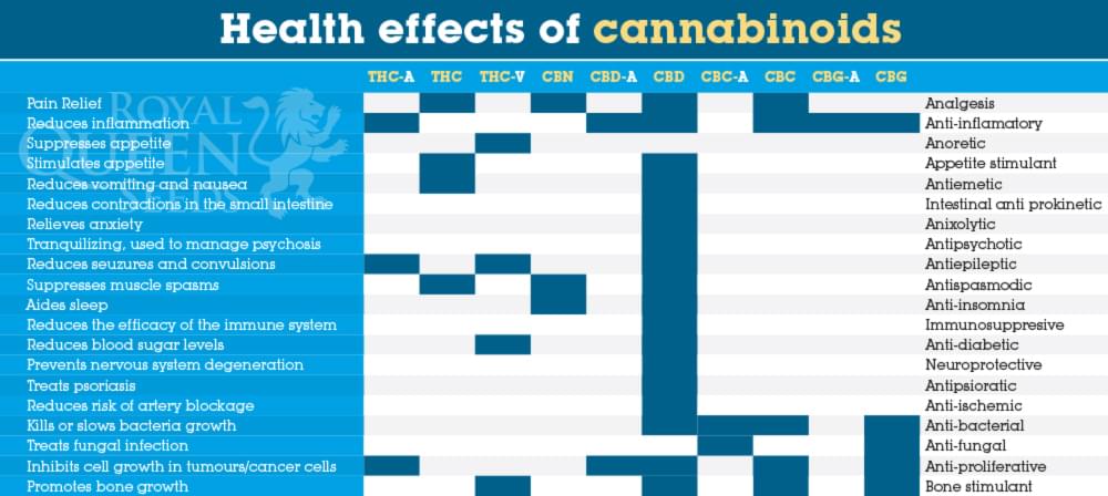 Gezondheidseffecten van cannabinoïden THC en THC