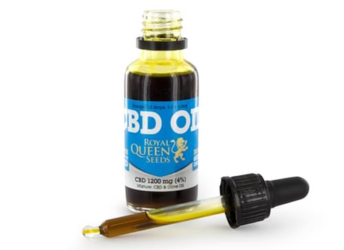 CBD-rijke olie paraguay