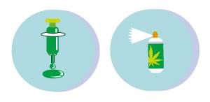 NIEUWE GENETICA cannabis