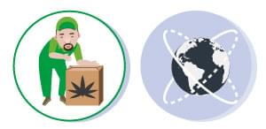REGULATIE cannabis