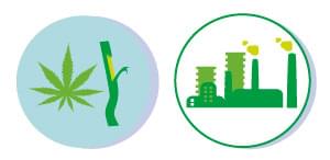 HERNIEUWBARE GRONDSTOFFEN cannabis