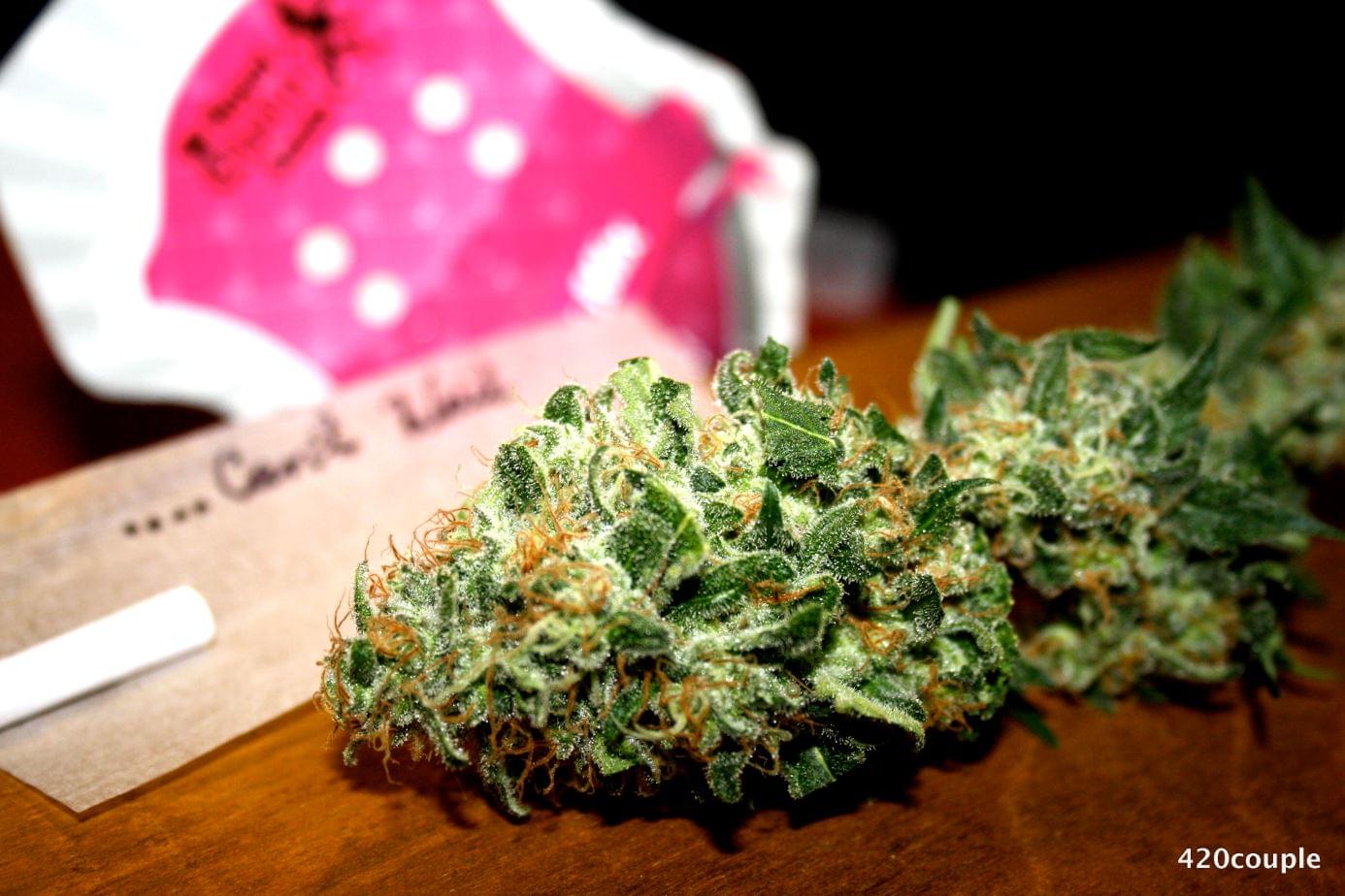 Winning picture: White Widow from 420 Couple Winning picture: White Widow from 420 Couple
