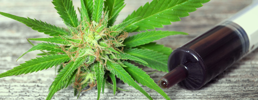 Medical Cannabis Oil for cancer treatment Medical Cannabis Oli kanker