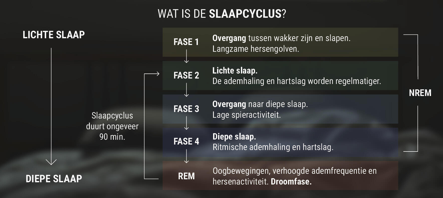 Wat is de Slaapcyclus?