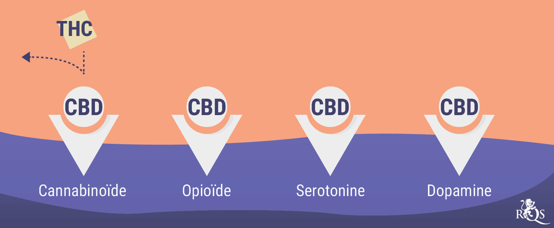 Wiet en de Geestelijke Gezondheid: een Ingewikkelde Relatie