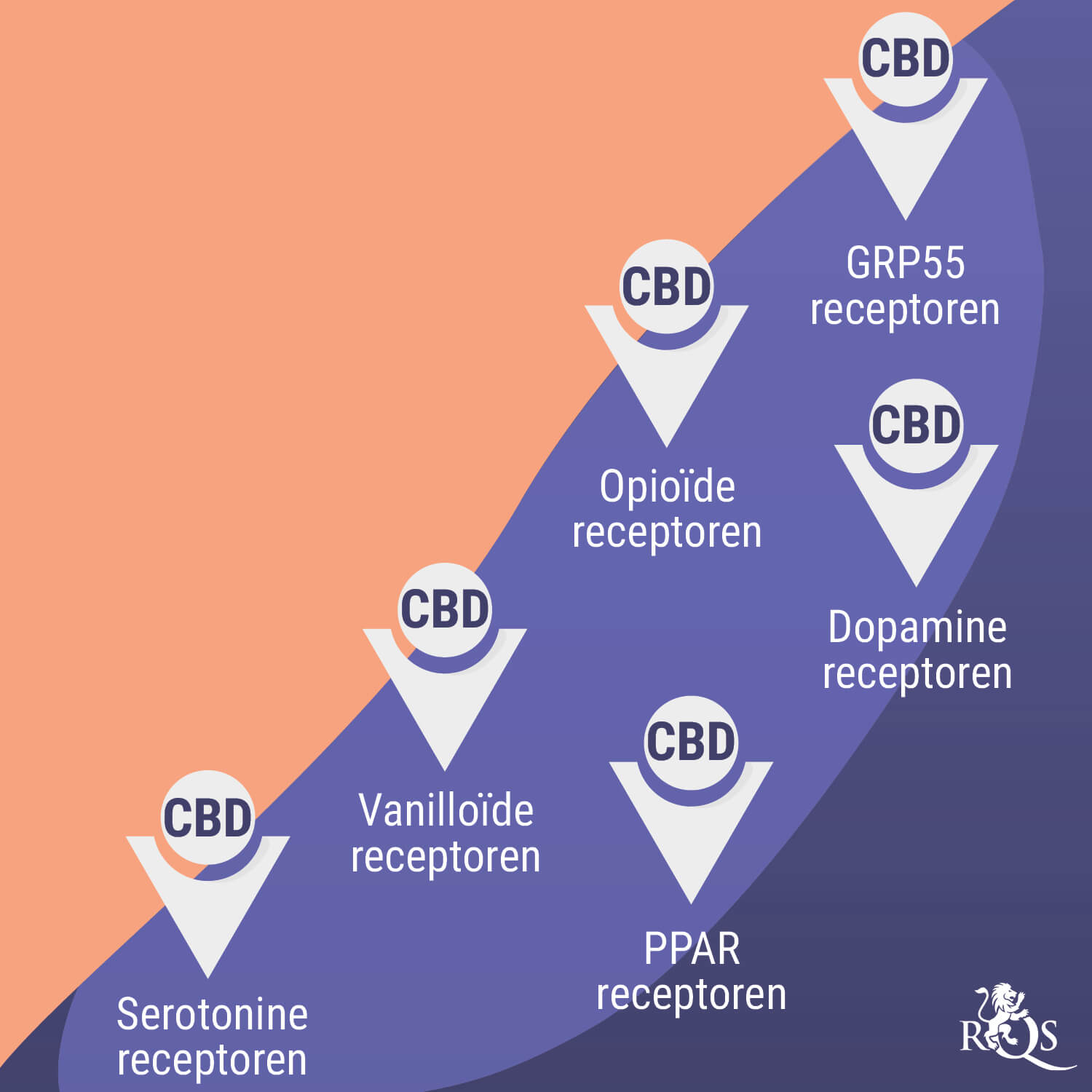 De Interactie Tussen Wiet en Antidepressiva De Interactie Tussen Wiet en Antidepressiva