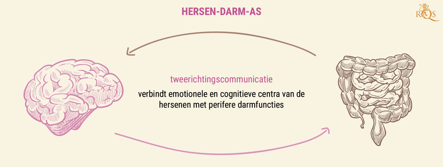 Waarom Is de Darmgezondheid Belangrijk? Waarom Is de Darmgezondheid Belangrijk?