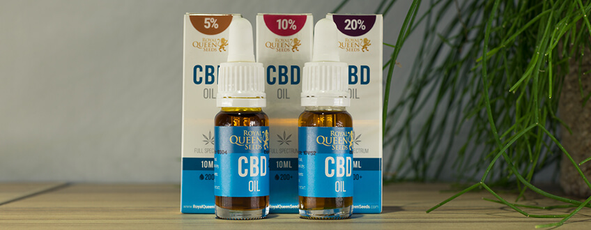 CBD-olie van Royal Queen Seeds CBD-olie van Royal Queen Seeds