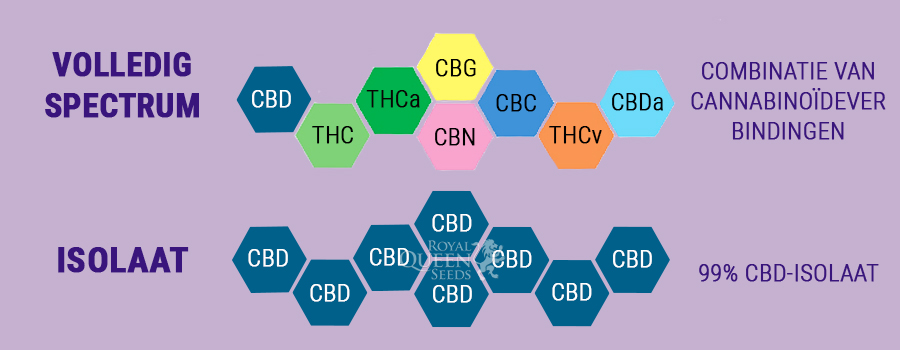 Full-spectrum CBD versus isolaat
