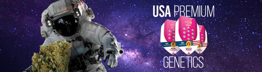 USA genetics USA premium