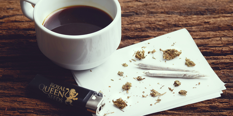 KOFFIE WEED CANNABIS Royal Queen Seeds