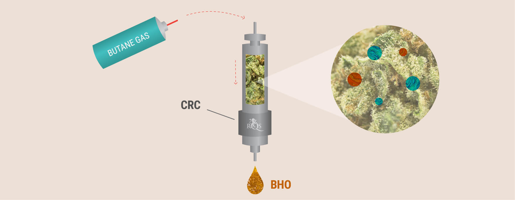 Het CRC-proces Het CRC-proces
