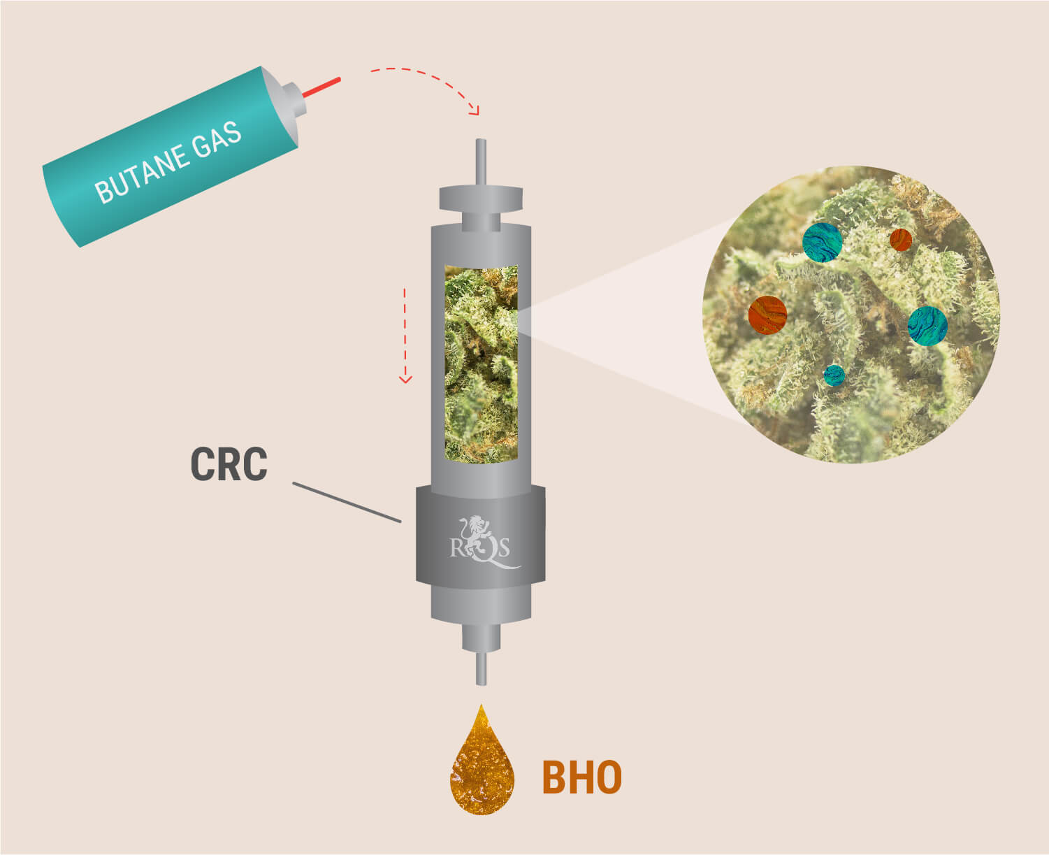 Het CRC-proces Het CRC-proces