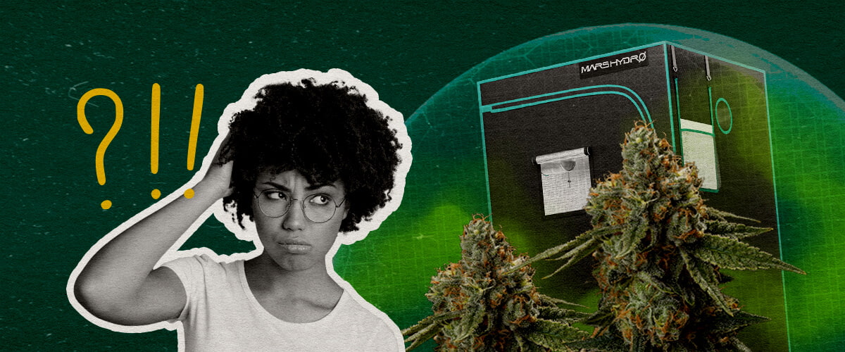 Laatste Gedachten: Kan een Growtent Echt Geurdicht Zijn Cannabis Een illustratie van cannabisbloemen met een growtent en een verwarde vrouw, tegen een groene achtergrond, die zich afvraagt of een growtent echt geurdicht kan zijn.
