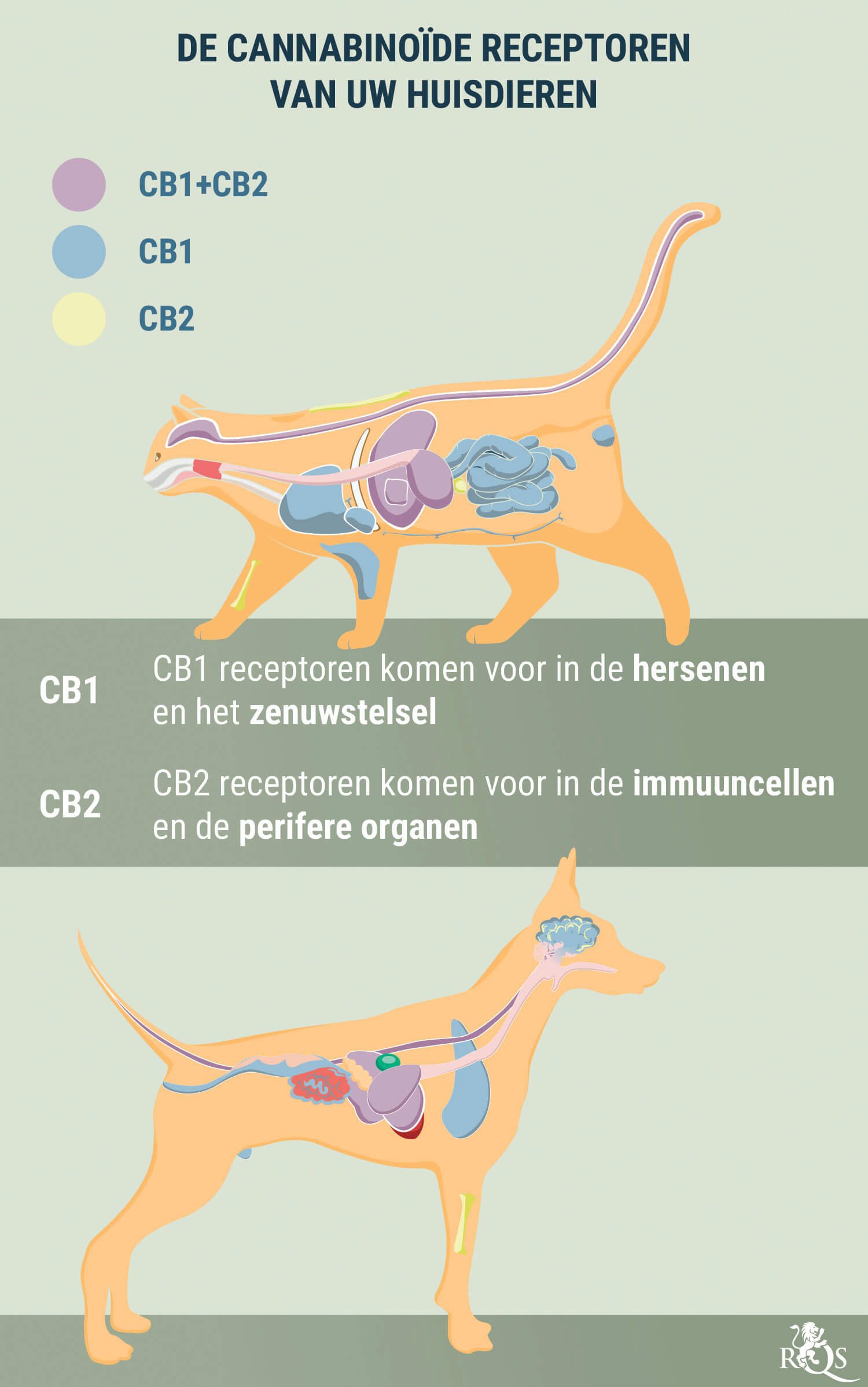 Medical Cannabis for Dogs and Cats