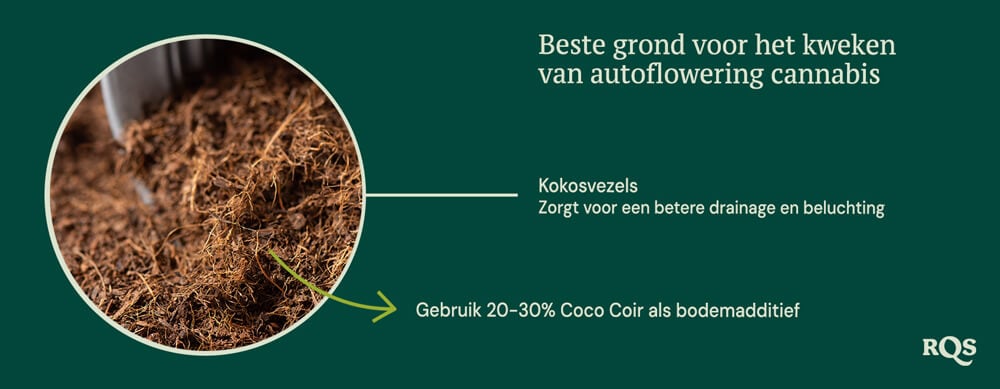 Coco coir for growing autoflowers