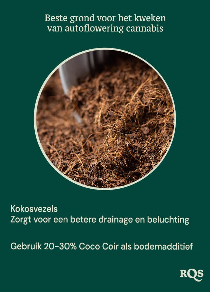 Coco coir for growing autoflowers