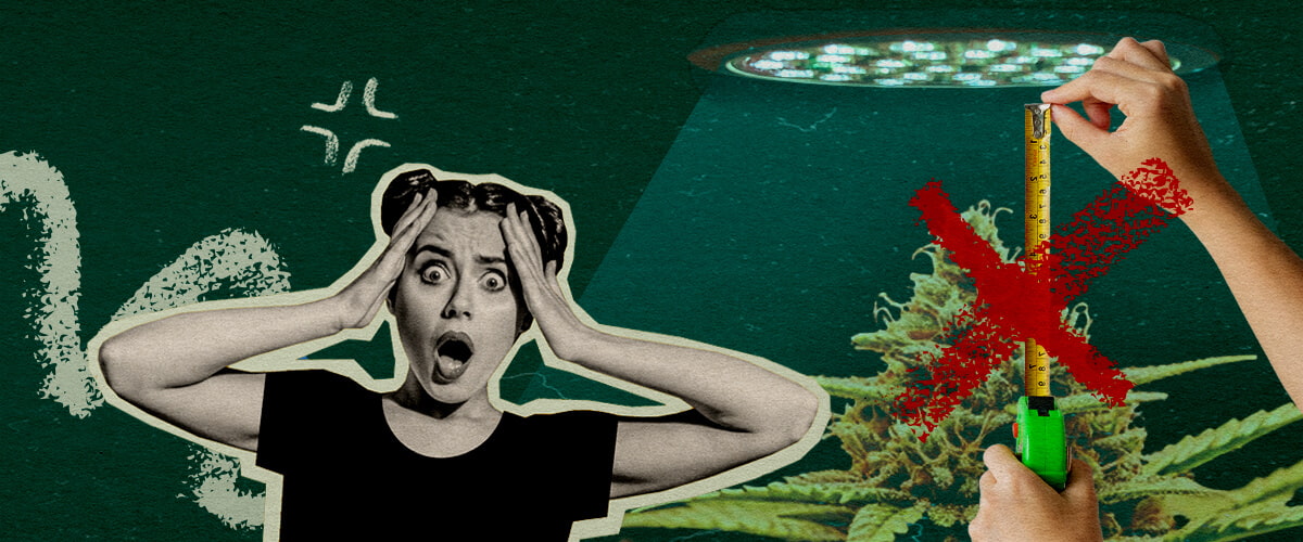 Veelgemaakte Fouten bij Lichtafstand: Lichtopstelling Afbeelding Cannabisplant met groeilicht en meetlint, toont veelgemaakte fouten bij het instellen van lichtafstand op een donkergroene achtergrond, ideaal voor cannabis kweektips.
