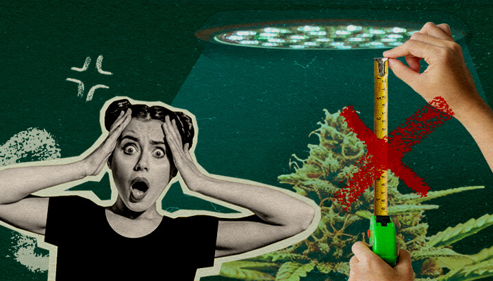 Veelgemaakte Fouten bij Lichtafstand: Lichtopstelling Afbeelding Cannabisplant met groeilicht en meetlint, toont veelgemaakte fouten bij het instellen van lichtafstand op een donkergroene achtergrond, ideaal voor cannabis kweektips.