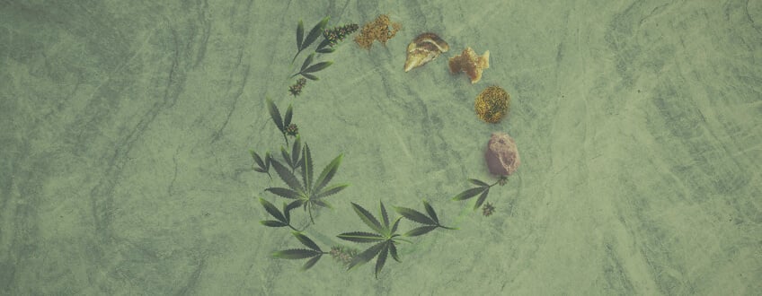 De ultieme gids over cannabis-concentraten