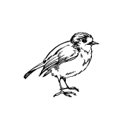 TREK VOGELS AAN TREK VOGELS AAN