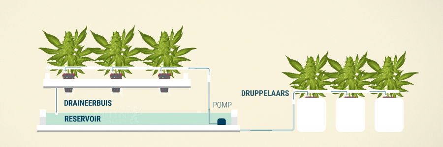Druppelsysteem Druppelsysteem